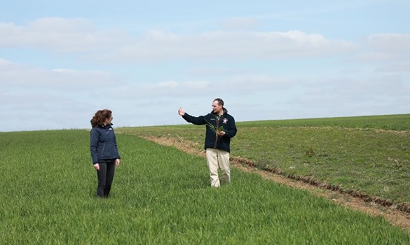 a man and a woman standing in a field of grass